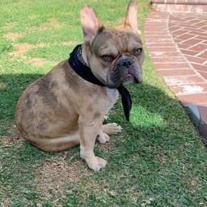 Meet your Posher, Eduardo